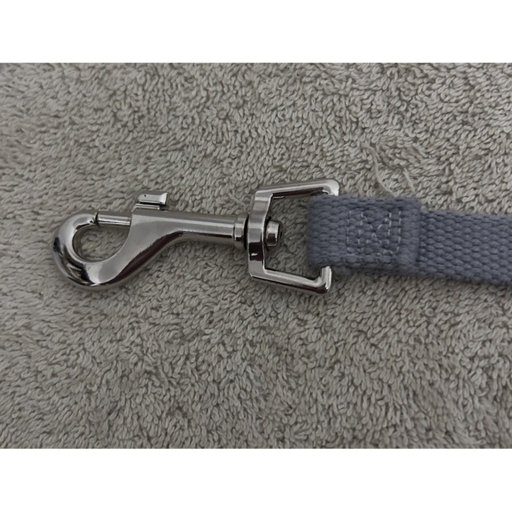 EveryYay Settin' the Pace Recall Training Leash for Dogs, Grey, 20-ft long, 5/8"